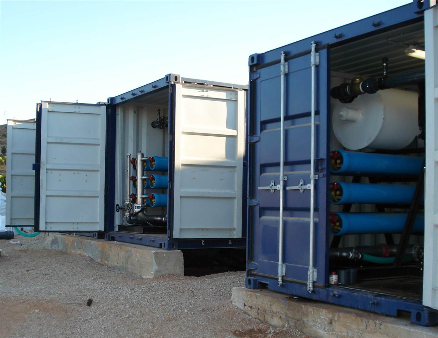 Containerized Plants