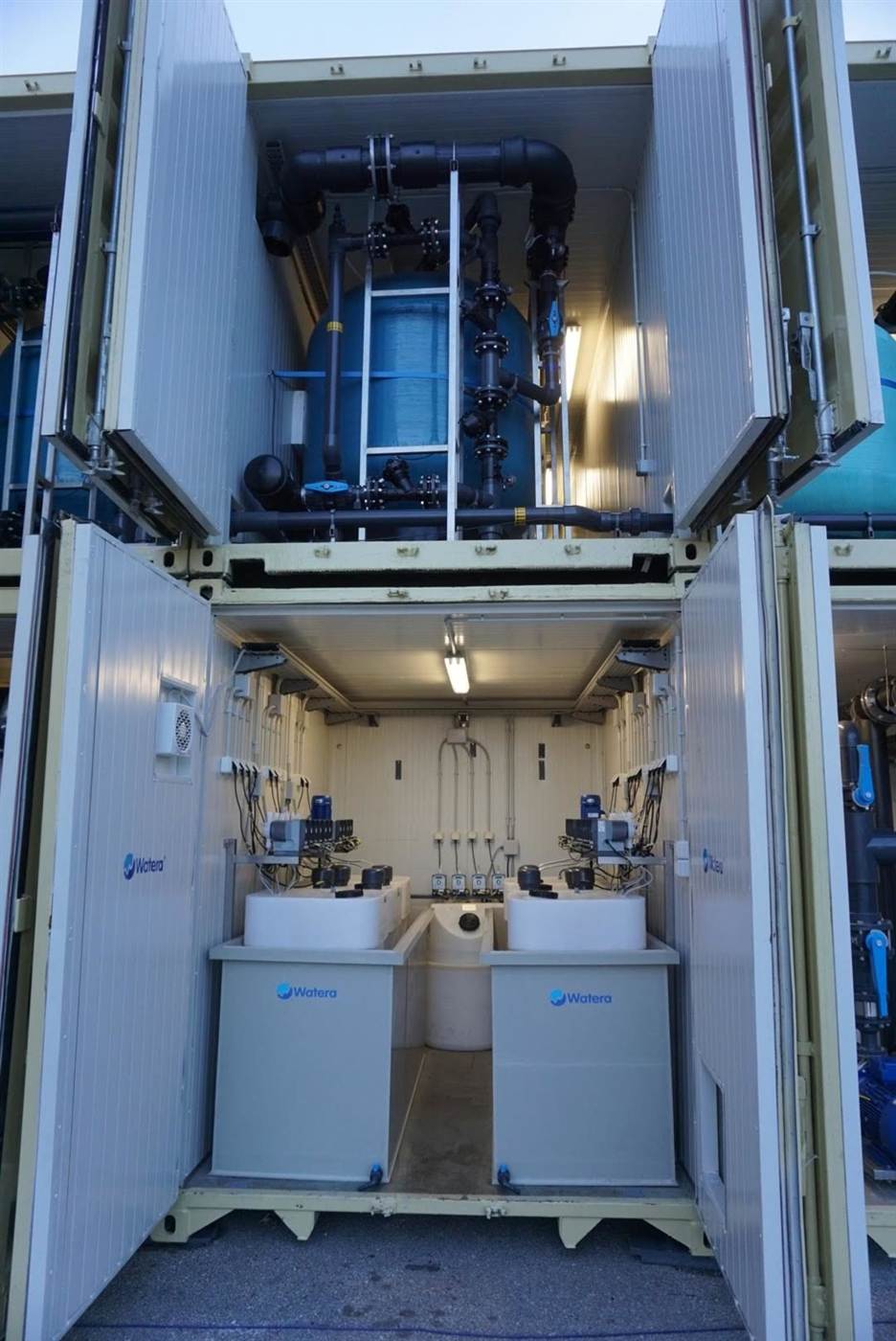 Containerized Plants